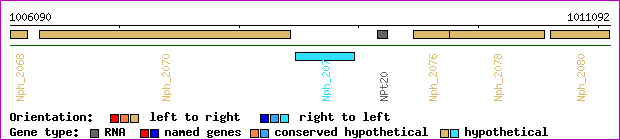 gene map