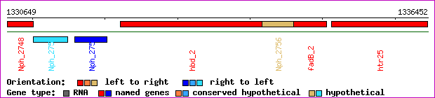 gene map