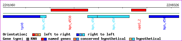 gene map
