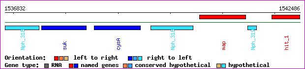 gene map