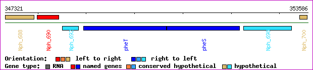 gene map