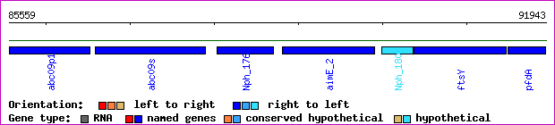 gene map