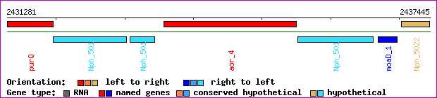 gene map