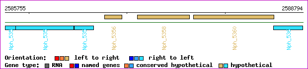 gene map