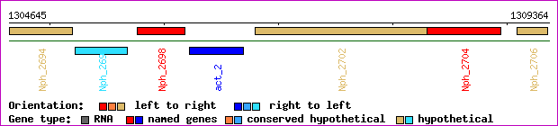 gene map