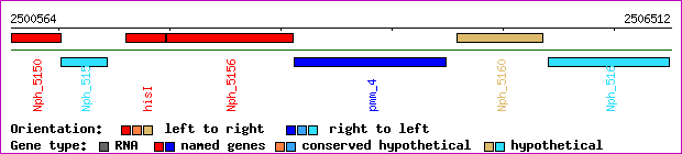 gene map
