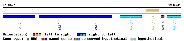 gene map