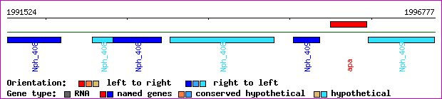 gene map