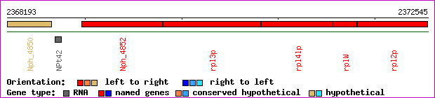 gene map