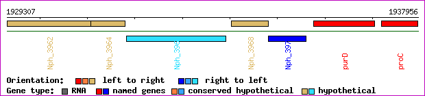 gene map