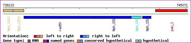 gene map