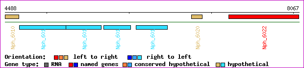 gene map