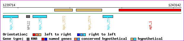 gene map