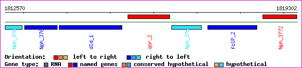 gene map