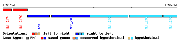 gene map