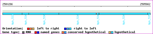 gene map
