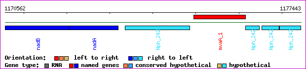 gene map