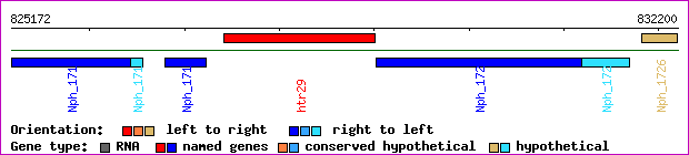 gene map
