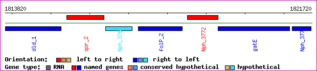 gene map