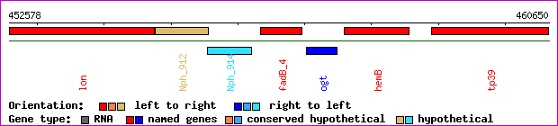 gene map