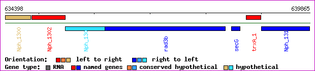 gene map