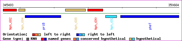 gene map