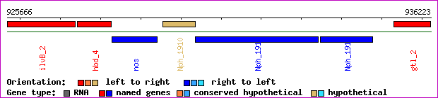 gene map