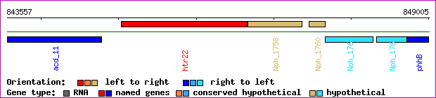 gene map