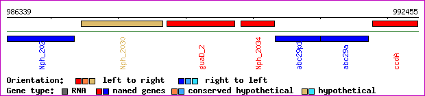 gene map