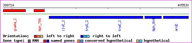 gene map
