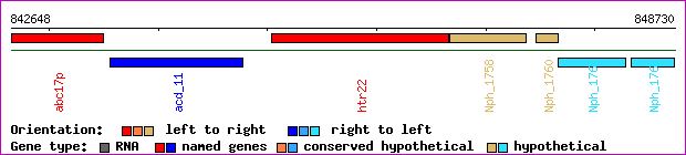 gene map