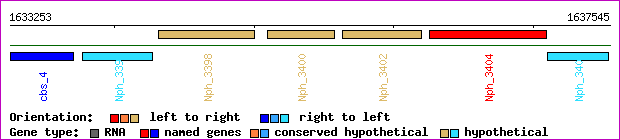 gene map