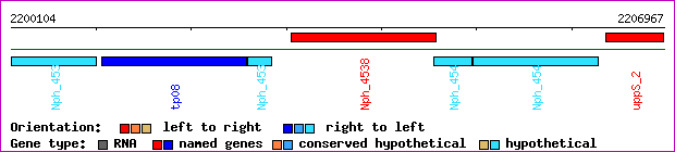 gene map
