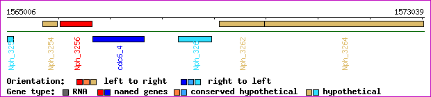 gene map