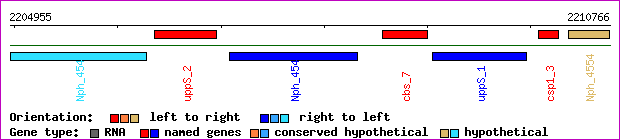 gene map