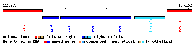 gene map