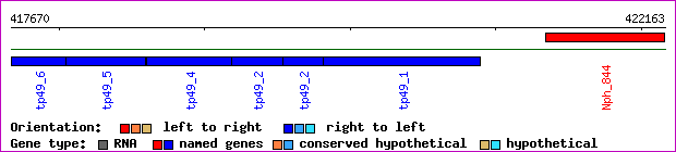 gene map