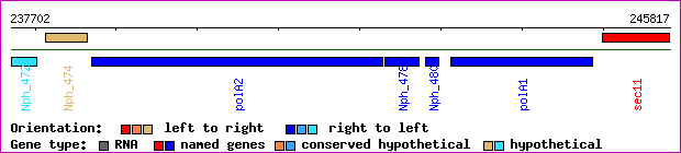 gene map