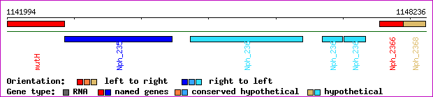 gene map