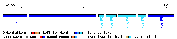 gene map