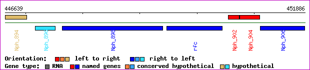 gene map