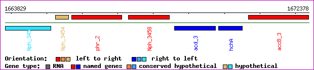 gene map
