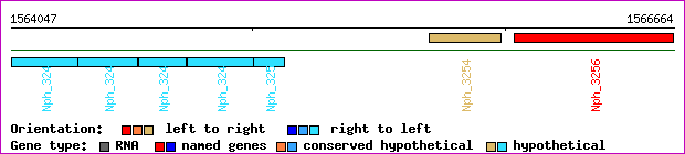 gene map