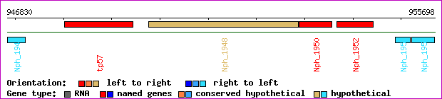 gene map