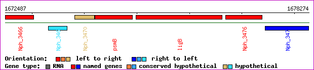 gene map