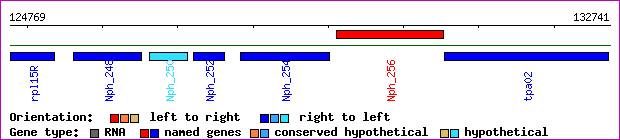 gene map