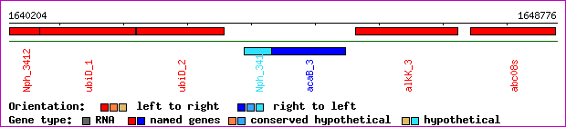 gene map