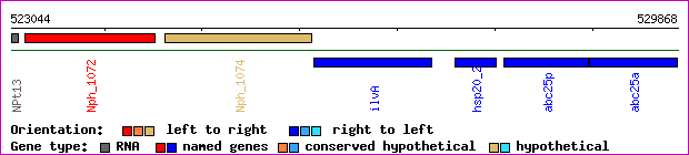 gene map