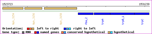 gene map