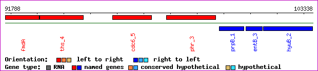 gene map